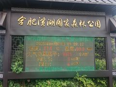 -合肥滨湖国家森林公园