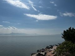 -福田红树林生态公园
