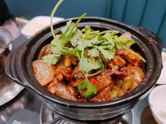 鸡鸡蛙蛙中煲-川香煲(茅台路店)