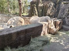 -杭州野生动物世界