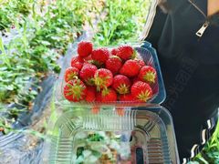 -拾光团建·拓展活动·旅游会议(东直门店)