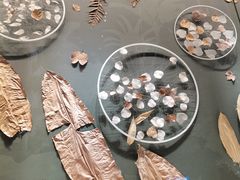 -浙江自然博物院(杭州馆)