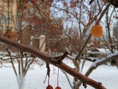 -元大都城垣遗址公园