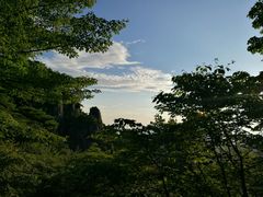 -黄山排云型旅酒店餐厅