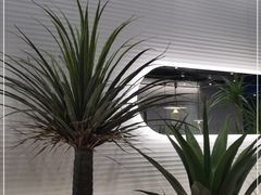 -兰湘子·湘菜小炒(崂山丽达店)