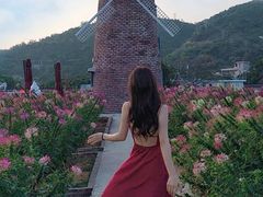 -玫瑰海岸文化旅游度假区