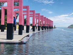 -漳州滨海火山岛自然生态风景区