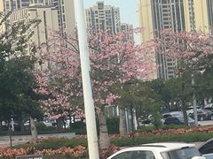 -华彬猛犸滑雪场