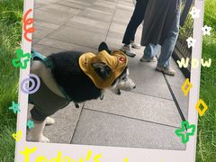 -瑞虹新天地月亮湾