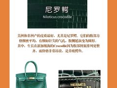-海星奢选二手奢侈品手表包包鉴定回收寄卖(墨玉南路店)