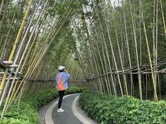 -美的鹭湖森林度假区