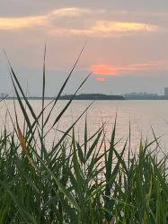 -剑鱼皮划艇俱乐部(石湖基地)