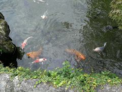 -水前寺成趣园