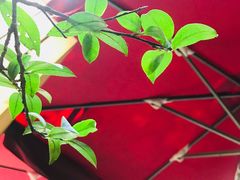 -manabe (共和新路店)