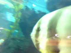 -鸿通城购物中心