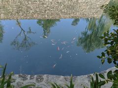 -秋沟风景区