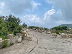 -白草畔自然风景区