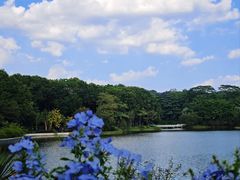-东莞植物园