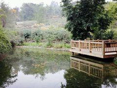 -成都大熊猫繁育研究基地