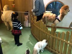 -藦茜花园宠物主题亲子互动体验馆(国顺东路店)