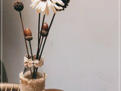 -FUN COFFEE