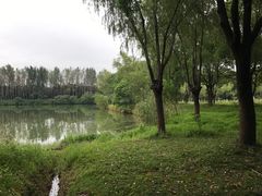 -昆山城市生态森林公园