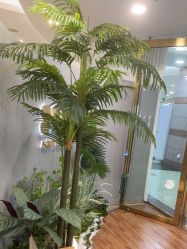 -八佰伴8008星级形象店