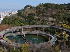 -福道