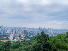 -南山植物园