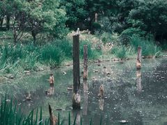 -上海浦江郊野公园-3号停车场