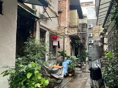 -荔湾湖公园