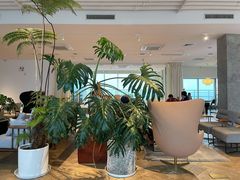 -COFFEEOLOGY咖啡学(天银店)