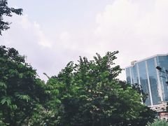 -九龙公园