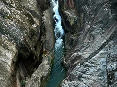 -广州白江湖森林公园