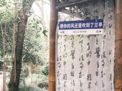 -兰亭风景区