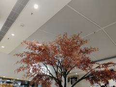 -艾薯夫妇Aysh(福田星河COCOPark店)