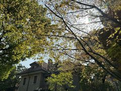 -星巴克臻选(思南公馆店)