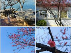 -八大山人梅湖景区
