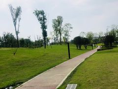 -两河城市森林公园