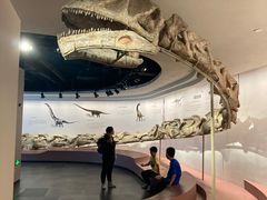 -自贡恐龙博物馆