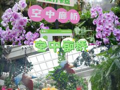 -正佳雨林生态植物园