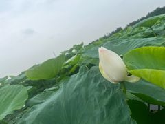 -渔闻农家菜
