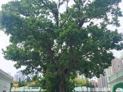 -龙环葡韵住宅式博物馆