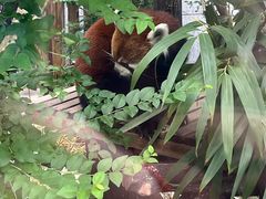 -石排湾郊野公园