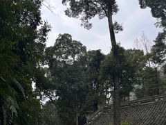 -凤栖山