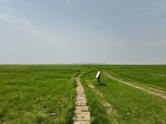 -鄱阳湖国家湿地公园