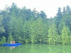 -广州市帽峰山景区