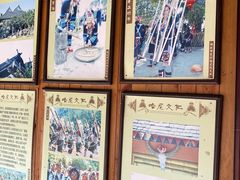 -西双版纳原始森林公园