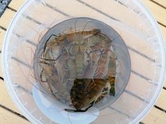 -DGE季风钓虾营地·团建·聚会