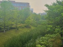 -橘子餐厅(光谷生物城店)